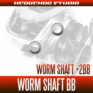Photo1: 22 TATULA TW 80 Worm Shaft Bearing Kit (+2BB)