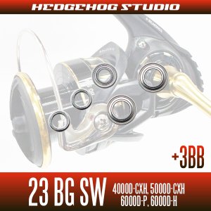 Photo2: [DAIWA] 23 BG SW 4000D-CXH, 5000D-CXH, 6000D-P, 6000D-H MAX8BB Upgrade Bearing Kit