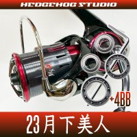 [DAIWA] 23 GEKKABIJIN LT1000S, LT2000S, LT2000S-H MAX11BB Upgrade Bearing Kit