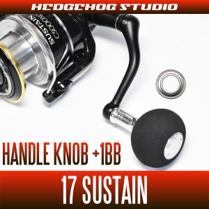 Photo1: [SHIMANO] 17 SUSTAIN Handle Knob Bearing Kit (+1BB)