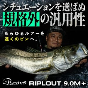 Photo4: [Fishman] Beams RIPLOUT 9.0M+ (Rod)
