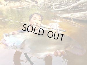 Photo11: [TRANSCENDENCE] Botia 60S+ Rev.2 (Rod)