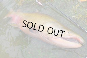 Photo13: [TRANSCENDENCE] Botia 60S+ Rev.2 (Rod)