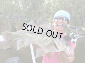 Photo14: [TRANSCENDENCE] Botia 60S+ Rev.2 (Rod)