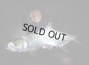 Photo6: [TRANSCENDENCE] Botia 60S+ Rev.2 (Rod)