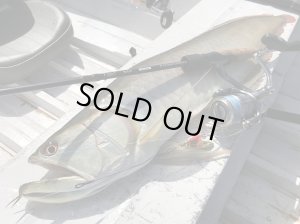 Photo12: [TRANSCENDENCE] Botia 60S+ Rev.2 (Rod)