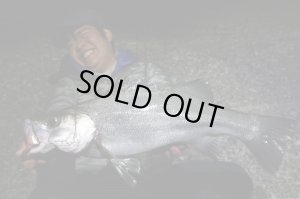 Photo9: [TRANSCENDENCE] Botia 60S+ Rev.2 (Rod)