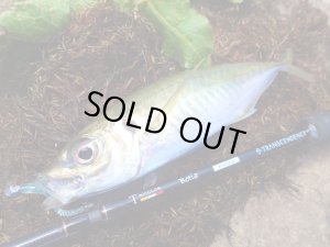 Photo10: [TRANSCENDENCE] Botia 60S+ Rev.2 (Rod)