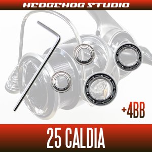 Photo2: [DAIWA] 25 CALDIA FC LT1000S, FC LT2000S, FC LT2000S-H, FC LT2500S, FC LT2500S-H, LT2500, LT2500S, LT2500S-XH, LT3000S-CXH, LT3000, LT3000-XH, LT4000-C, LT4000-CXH, LT5000-C, LT5000-CXH MAX10BB Upgrade Bearing Kit (+4BB)