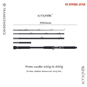 Photo1: [TRANSCENDENCE] KTX78B (Rod)