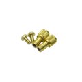 [GOLD Works] MORRUM Cup Screw Set
