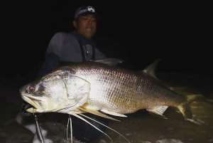 Photo11: [TRANSCENDENCE] Laulau 8.3GT-S Rev3.0 / Spinning (Rod)