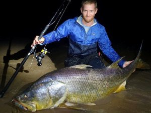 Photo10: [TRANSCENDENCE] Laulau 8.3GT-S Rev3.0 / Spinning (Rod)