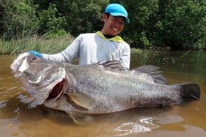 Photo12: [TRANSCENDENCE] Laulau 8.3GT-S Rev3.0 / Spinning (Rod)