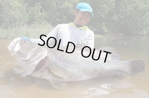 Photo12: [TRANSCENDENCE] Laulau 8.3GT-S Rev3.0 / Spinning (Rod)