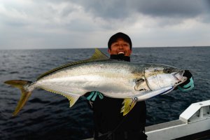 Photo7: [TRANSCENDENCE] Foehn 88S (Rod)