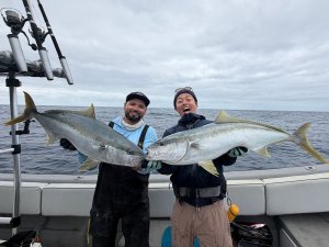 Photo3: [TRANSCENDENCE] Foehn 88S (Rod)