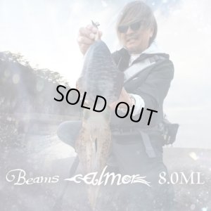 Photo2: [Fishman] Beams calmer 8.0ML (Rod)
