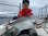 Photo9: [TRANSCENDENCE] Laulau 8.3GT-S Rev3.1 / Laulau Spinning / Spinning (Rod) (9)