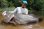 Photo12: [TRANSCENDENCE] Laulau 8.3GT-S Rev3.1 / Laulau Spinning / Spinning (Rod) (12)