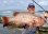 Photo5: [TRANSCENDENCE] Laulau 8.3GT-S Rev3.1 / Laulau Spinning / Spinning (Rod) (5)