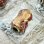 Photo1: [FHF/fishing house freedom] Wood Handle Knob Oval Shape Superior Grain Padauk Red and White Burl (1 piece) F-17 (1)