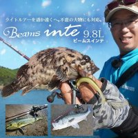 [Fishman] Beams inte 9.8L (Rod) +