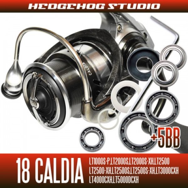 Photo1: [DAIWA] 18 CALDIA LT1000S-P, LT2000S, LT2000S-XH, LT2500, LT2500-XH, LT2500S, LT2500S-XH, LT3000-CXH, LT4000-CXH, LT4000S-C, LT5000D-CXH, LT5000S-CXH Full Bearing Kit (1)