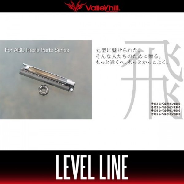 Photo1: [Valleyhill / B Trap] Level Line (1)