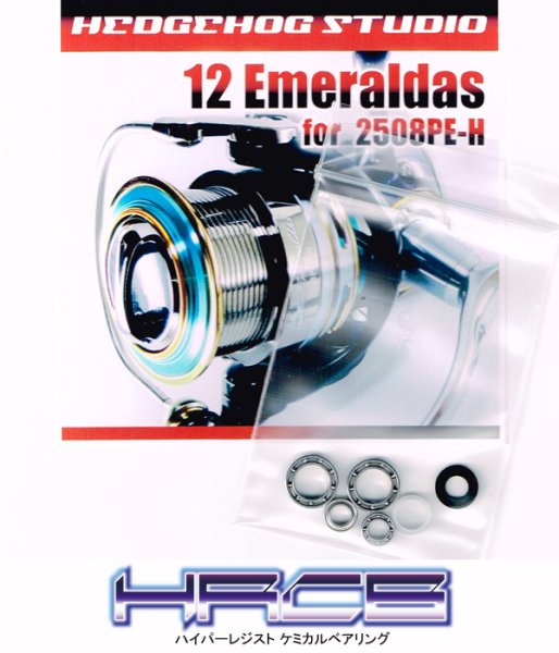 Photo1: 12 Emeraldas 2508PE-H Full Bearing Kit 【HRCB】 (1)