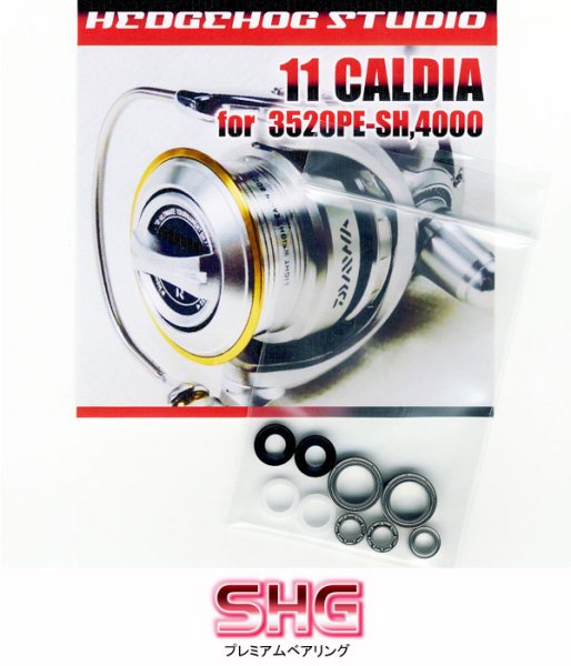 Photo1: 11 CALDIA 3520PE-SH,4000 Full Bearing Kit 【SHG】 (1)