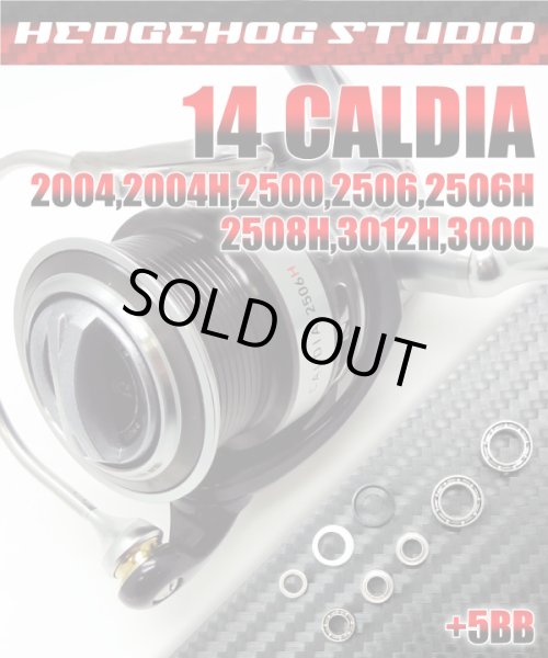 Photo1: 14 CALDIA 2004,2506,2506H,2500,2508,3000 Full Bearing Kit 【HRCB】 (1)