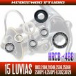 Photo2: 15 LUVIAS 1003,2004,2004H,2506,2506H,3012,3012H Full Bearing Kit 【HRCB】 (2)