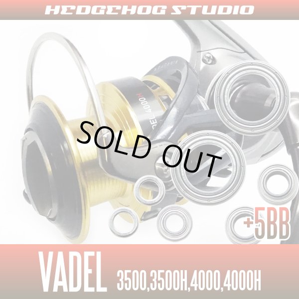 Photo1: Daiwa '15 VADEL 3500,3500H,4000,4000H Bearing Kit 【HRCB】 (1)