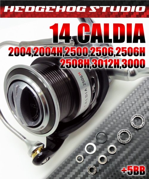Photo1: 14 CALDIA 2004,2004H,2500,2506,2506H,2508H,3012H,3000 Full Bearing Kit (1)