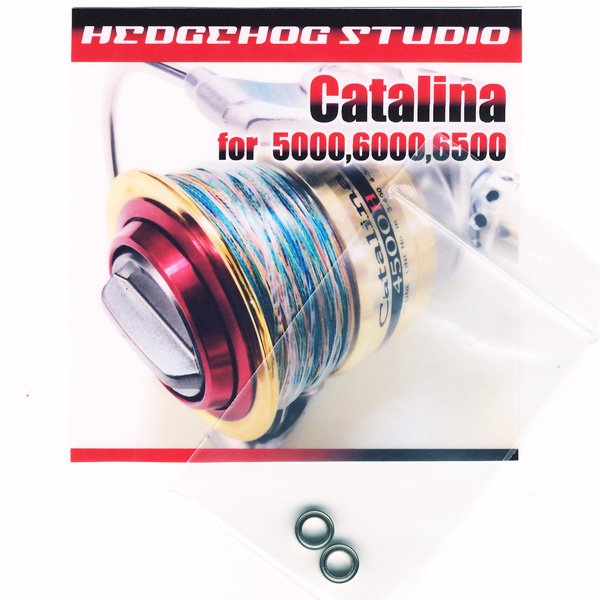 Photo1: OLD Catalina for 5000,6000,6500 Full Bearing Kit (1)