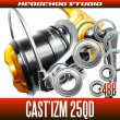 Photo1: CAST`IZM 25QD Full Bearing Kit (1)