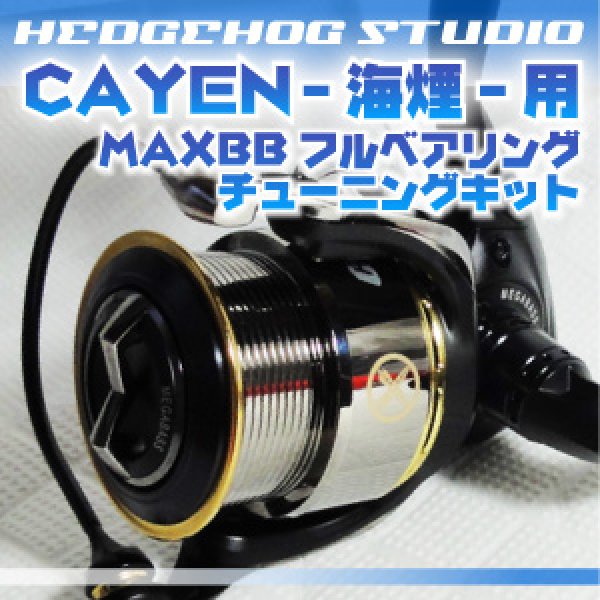 Photo1: CAYEN 海煙 256 MAX12BB Full Bearing Kit (1)