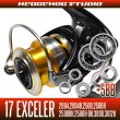 Photo1: 17 EXCELER 2004, 2004H, 2500, 2506H, 2508RH, 2506H-DH, 3000, 3012H MAX9BB Full Bearing Kit (1)