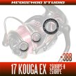 Photo2: 17 紅牙 KOHGA EX 2508RPE-H, 2510RPE  Full Bearing Kit (2)