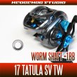 Worm Shaft +1BB Bearing Kit for 17 TATULA SV TW