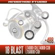 Photo2: 18 BLAST LT4000-CH, LT4000-CXH, LT5000D-CXH MAX10BB Full Bearing Kit (2)