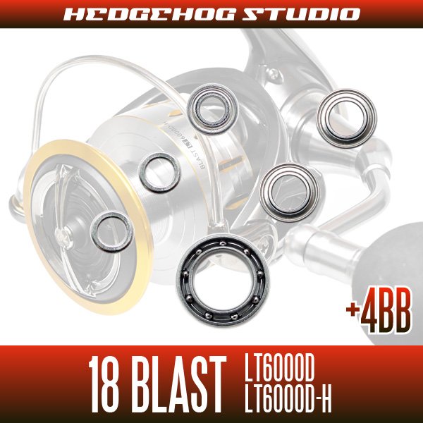 Photo2: 18 BLAST LT6000D, LT6000D-H MAX10BB Full Bearing Kit (2)