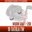 Photo2: [DAIWA] Worm Shaft Bearing Kit(+2BB) for 19 TATULA TW [Bass Fishing] (2)