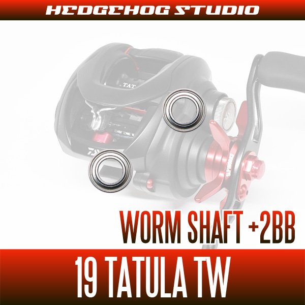 Photo2: [DAIWA] Worm Shaft Bearing Kit(+2BB) for 19 TATULA TW [Bass Fishing] (2)