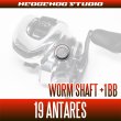 Photo2: [SHIMANO] Worm Shaft Bearing Kit for 19 ANTARES (+1BB) (2)