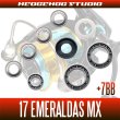 Photo2: [DAIWA] 17 EMERALDAS MX 2508PE-DH,2508PE-H-DH MAX14BB Bearing Upgrade Kit (2)