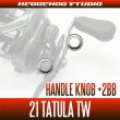 Photo2: [DAIWA] 21 TATULA TW Handle Knob Bearing (+2BB) (2)