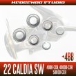 Photo2: 22 CALDIA  SW 4000-CXH, 4000D-CXH, 5000D-CXH MAX 10BB Bearing Upgrade Kit (2)