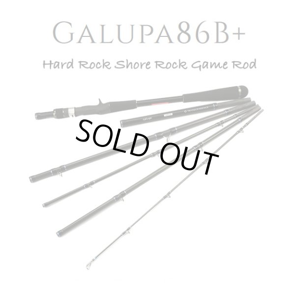 Photo1: [TRANSCENDENCE] Galupa86B+ (Rod) (1)